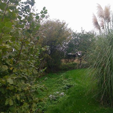 Gite De La Basse Roche Souge  Kültér fotó